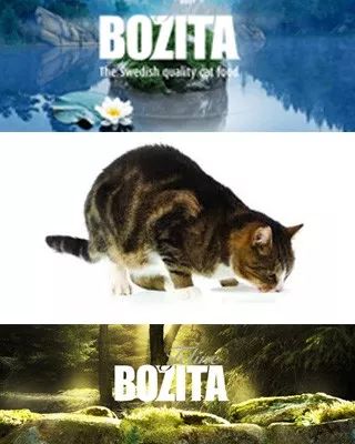 瑞典知名猫罐，有一成分猫咪吃了强身健体！狗子则要悠着点