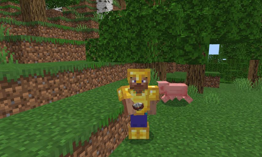 我的世界几个实用小技巧,我的世界五个实用的技巧