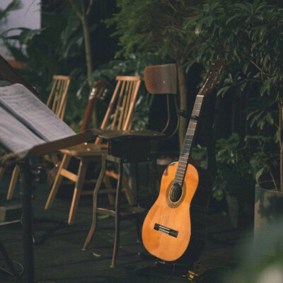 自学吉他学古典还是民谣,初学吉他买古典还是民谣