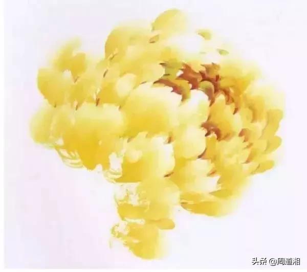 九种牡丹调色法,牡丹九大色系图片大全