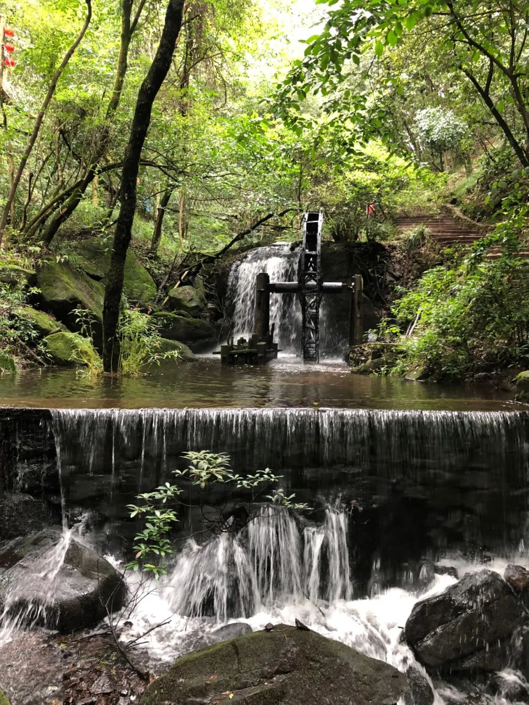 昆明避暑冷惨了外省人,昆明过冬真实感受