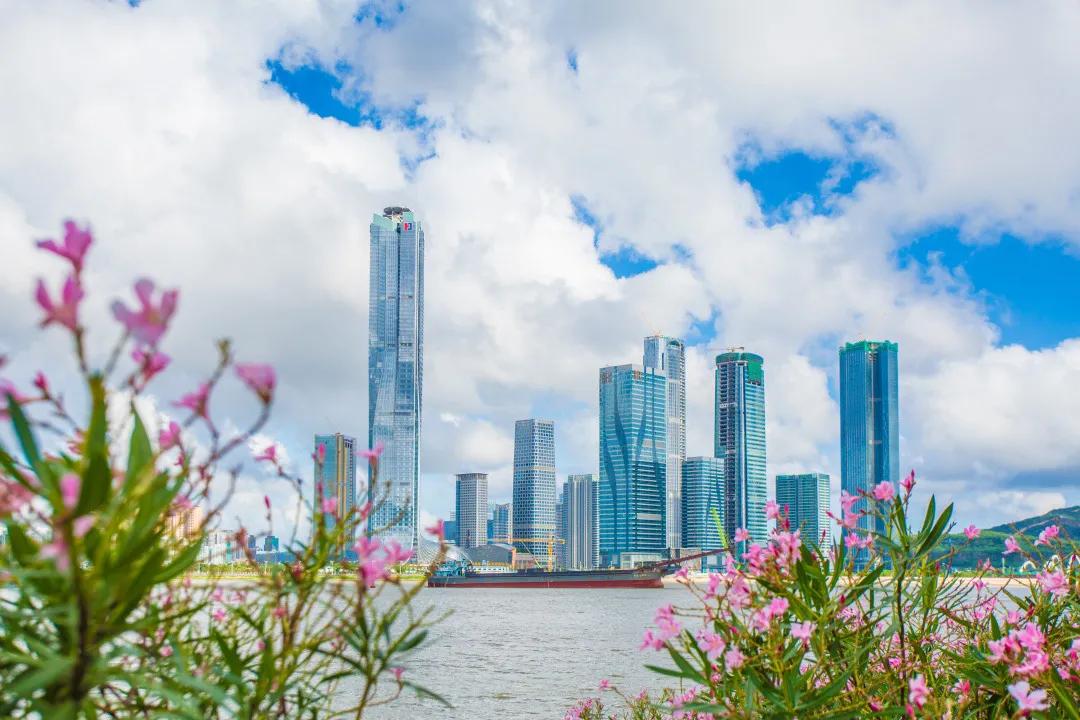 火爆！20天热销破5亿！这个大湾区百亿红盘，入手正当时