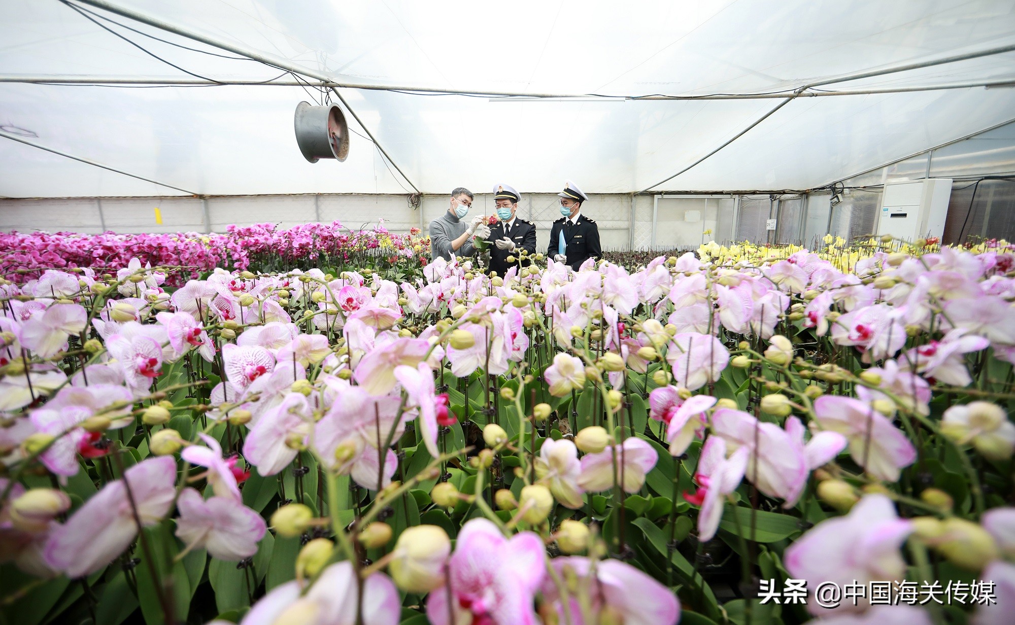 澳门回归后经济增长了多少,澳门出口总值