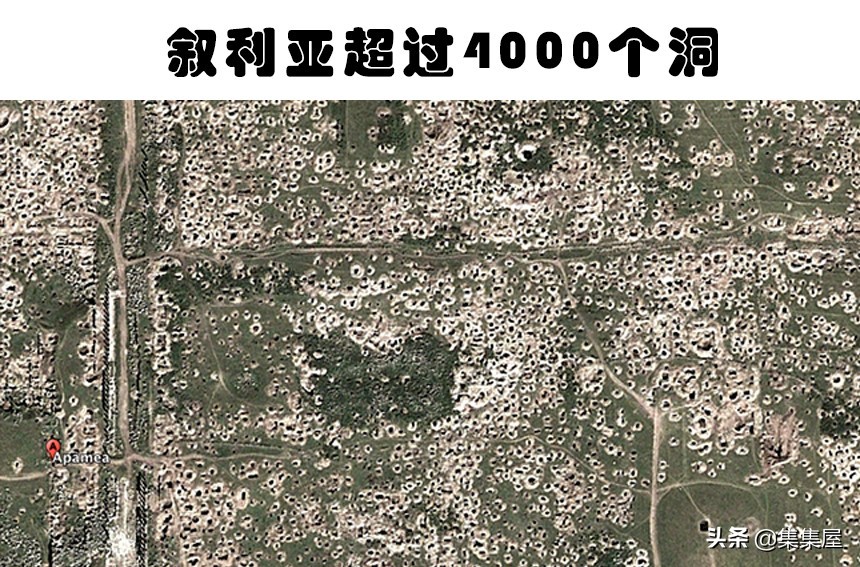 谷歌地图发现了几个诡异的地方,谷歌地图拍到的5个生物