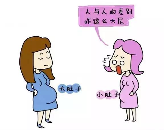 不显怀肚子小,不显怀但是肚子大