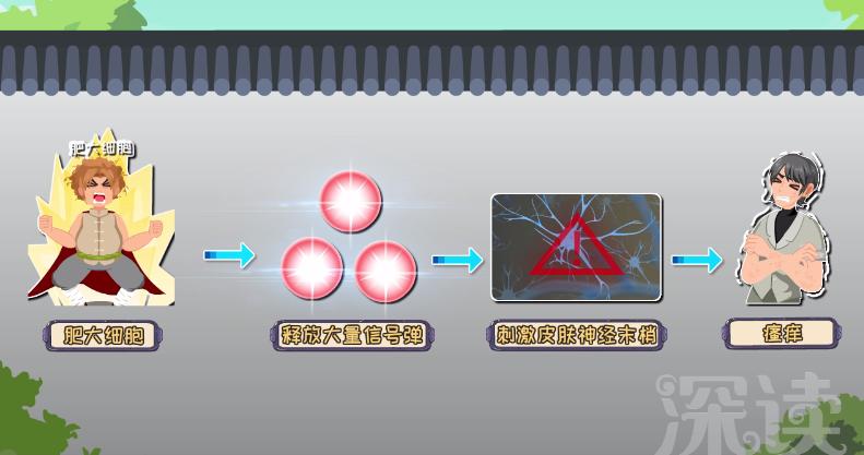 麻疹发病机制,荨麻疹发病机理