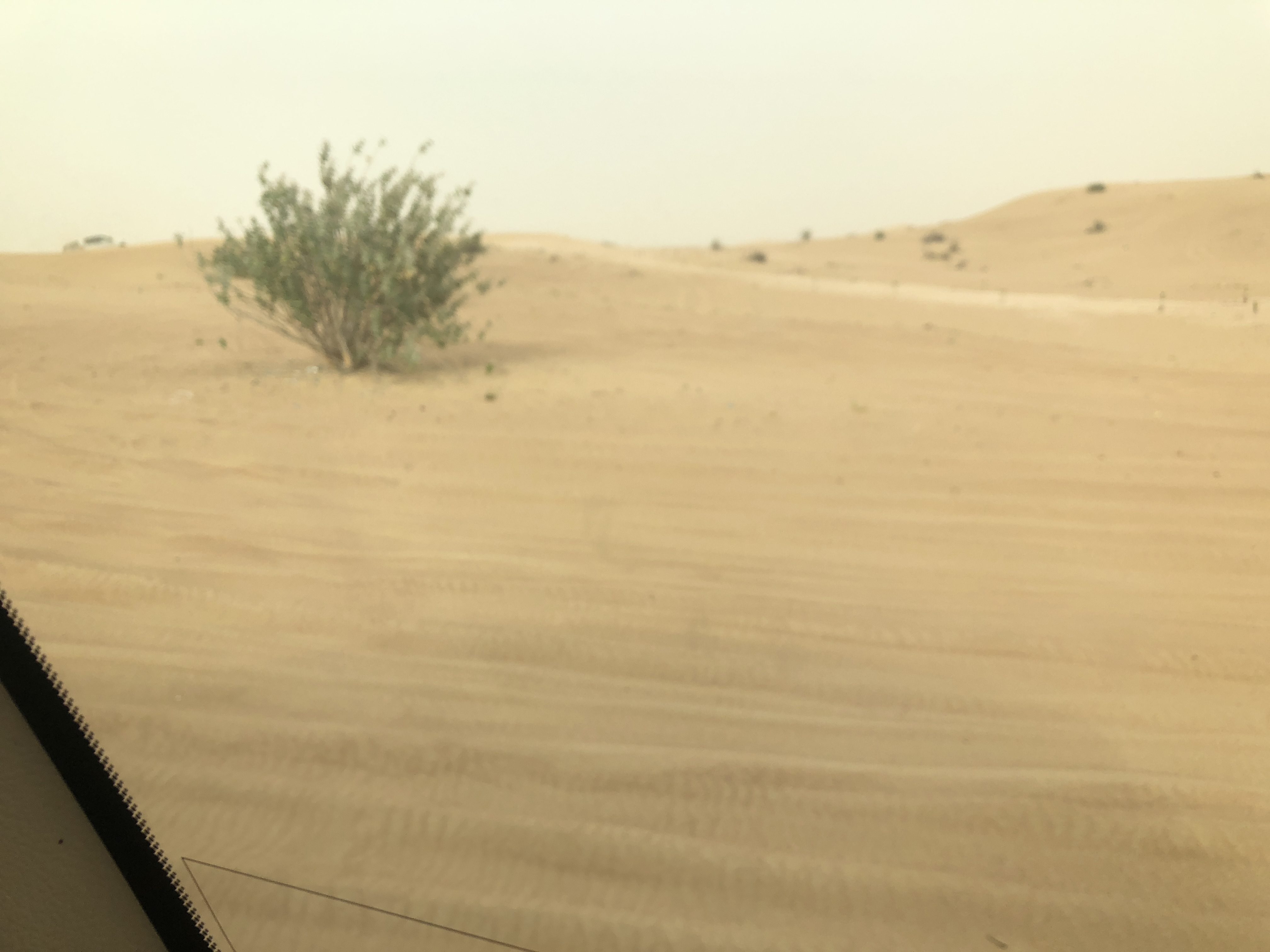 如果你失去了斗志,迪拜游记回忆