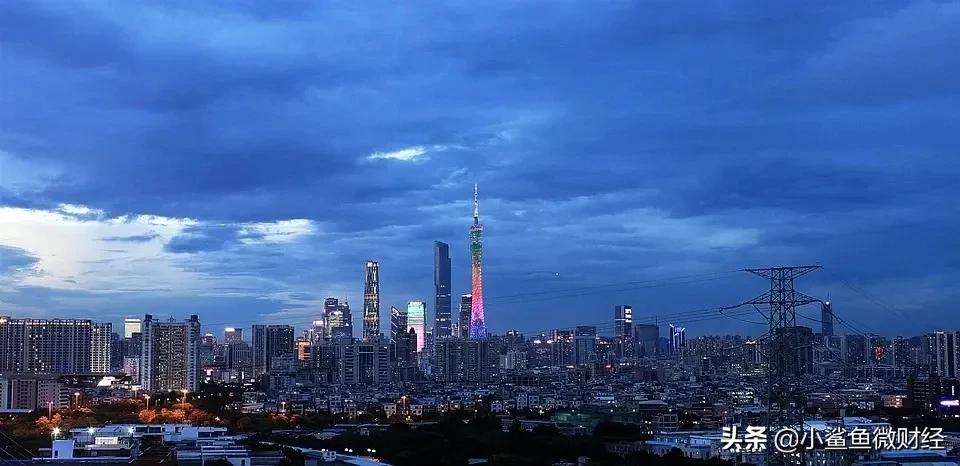 广州期货交易所哪里挂牌,广州期货交易所交易情况