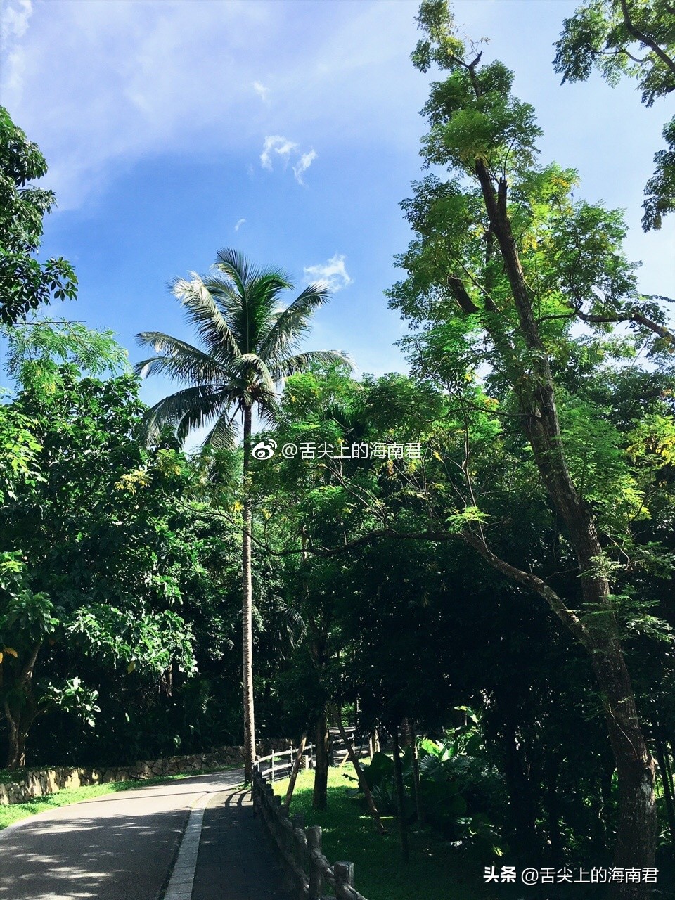 令人流连忘返的美景,令人心旷神怡的地方海南