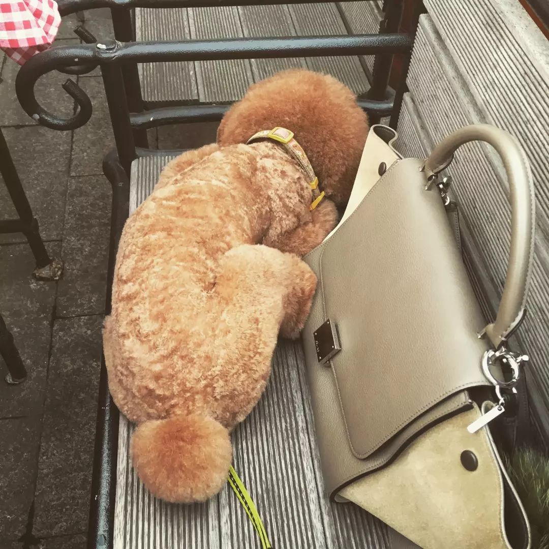 苏明玉开奔驰住楼王房，选包真有点……