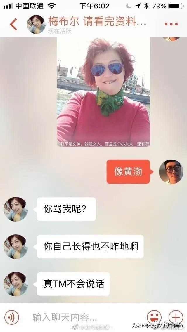 楼下的猫又开始叫了,楼下的猫一直在嗷嗷叫