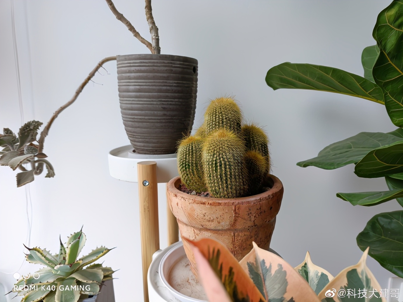 红米k40游戏增强版综合测评,红米k40游戏增强版整体测评