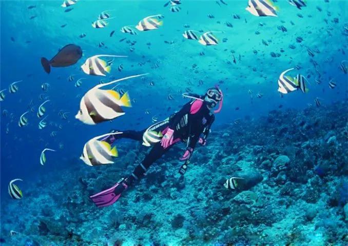 去了三亚不跟团,去了三亚不看海