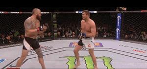 格斗明星的标准动作,格斗如何练抗打能力视频