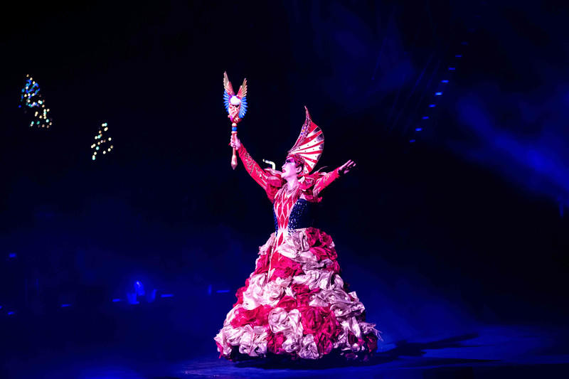 玩转广州长隆野生动物世界之行,广州长隆动物世界游玩攻略图