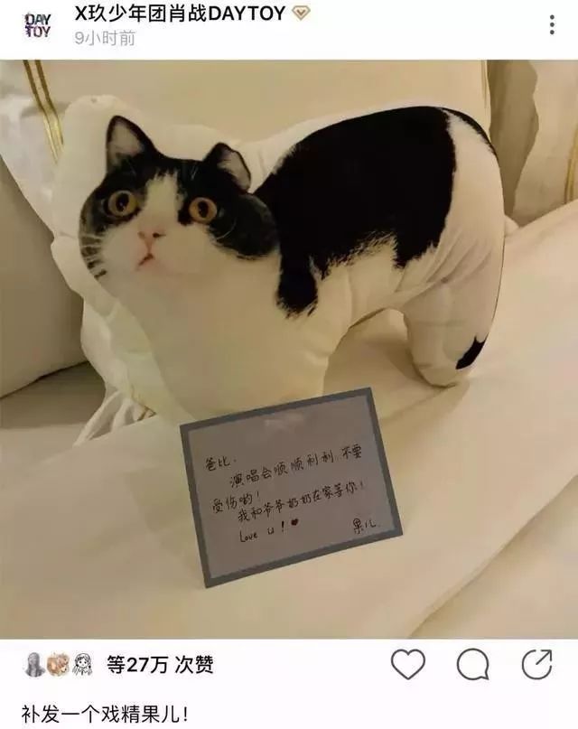 360度“云吸猫”？日本这家猫咪商店简直爱了