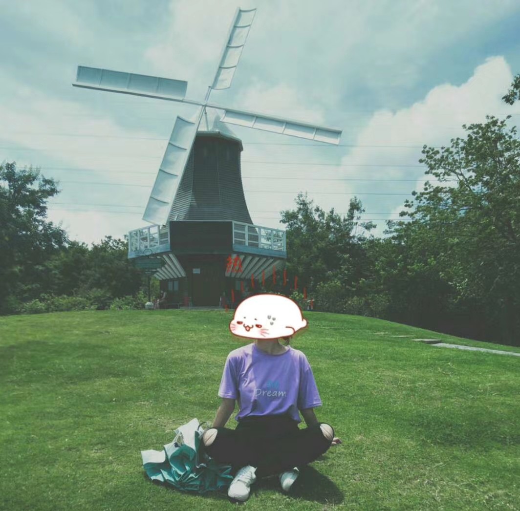 深圳南山区的花卉市场——荷兰花卉小镇