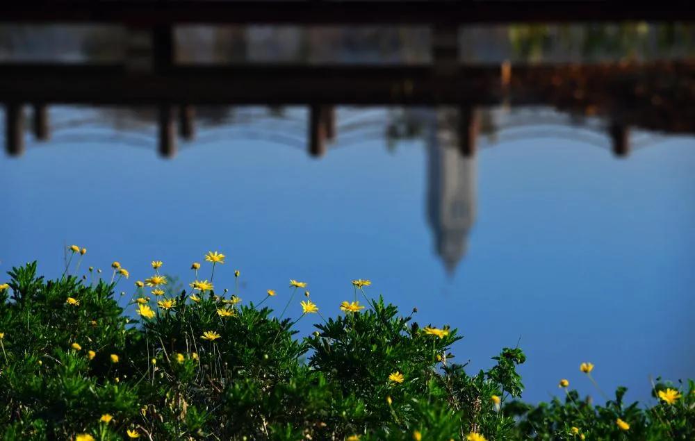 开远凤凰生态公园,开远市凤凰生态公园面积多少