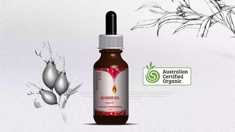 海淘和进口哪个好,海淘和跨境电商哪个划算