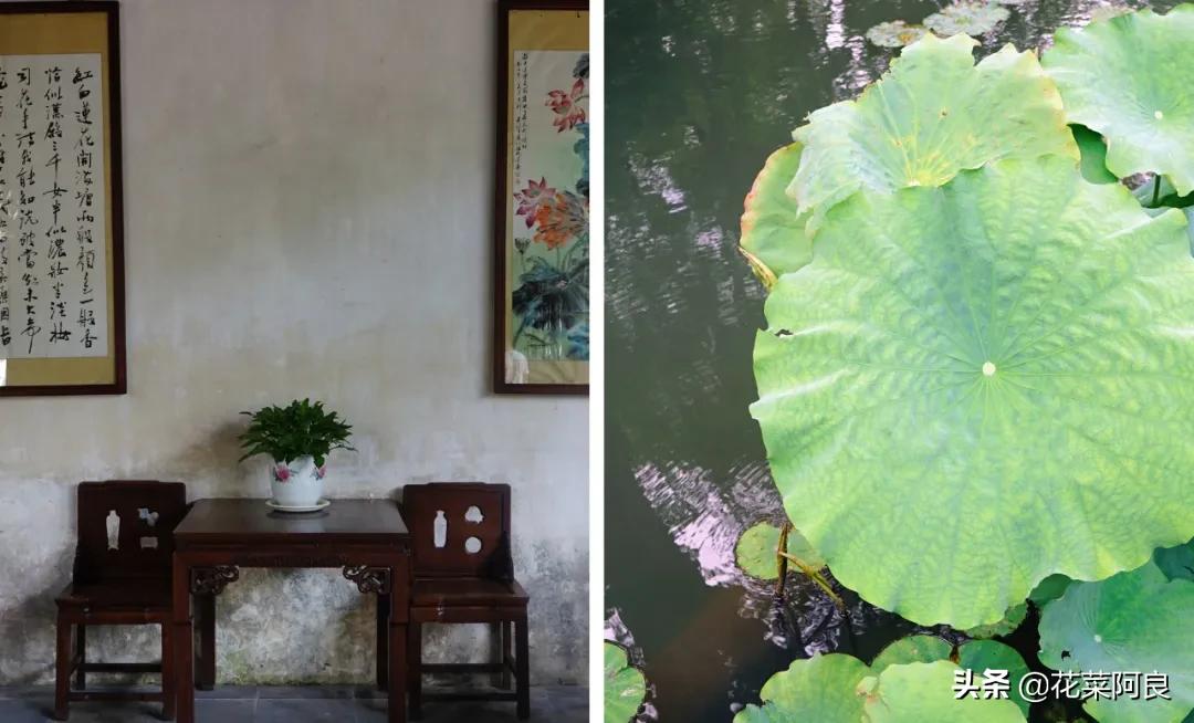 留园拙政园哪个景色好,留园和拙政园