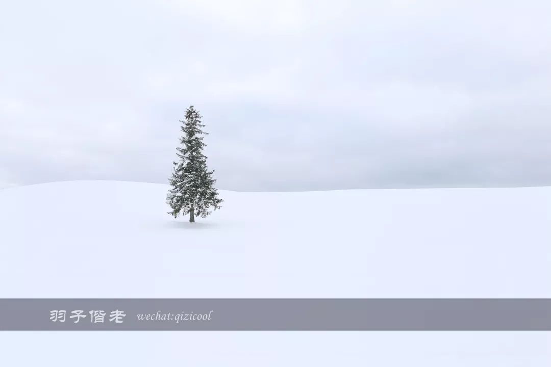 老实说，这一趟北海道就是为了拍好看的照片去的