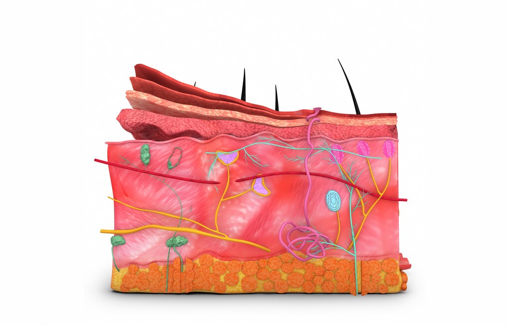 冬天皮肤特别痒怎么办,冬天洗澡后皮肤干燥又痒怎么办