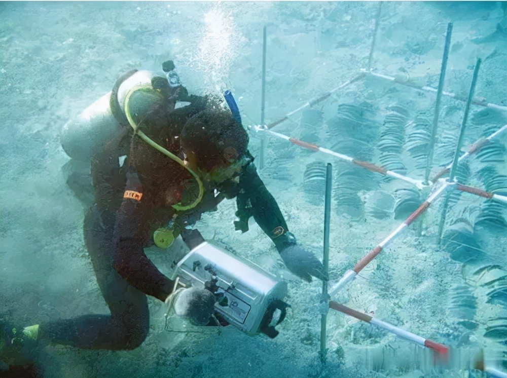 甲午海战沉没125年的定远舰,甲午沉船发现定远舰