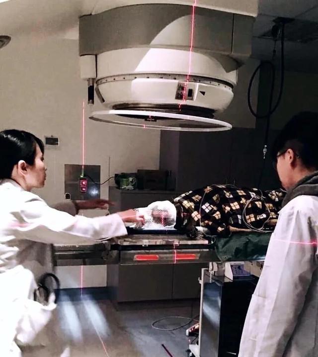 狗狗癌症晚期症状及治疗,狗狗癌症主人选择安乐死