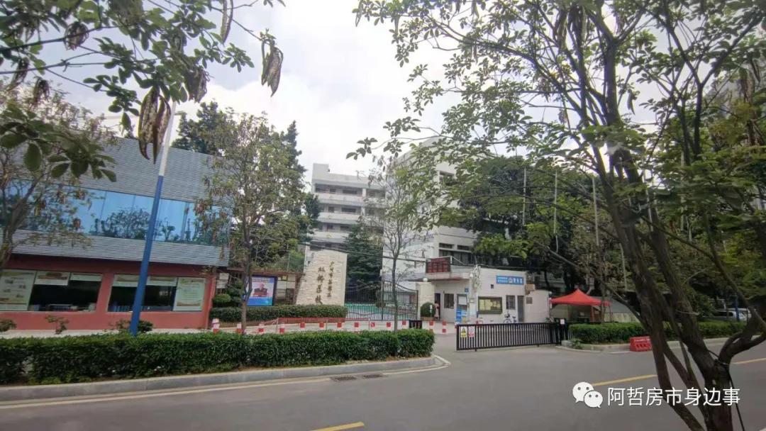 坦尾花语水岸,坦尾地铁站附近的楼盘