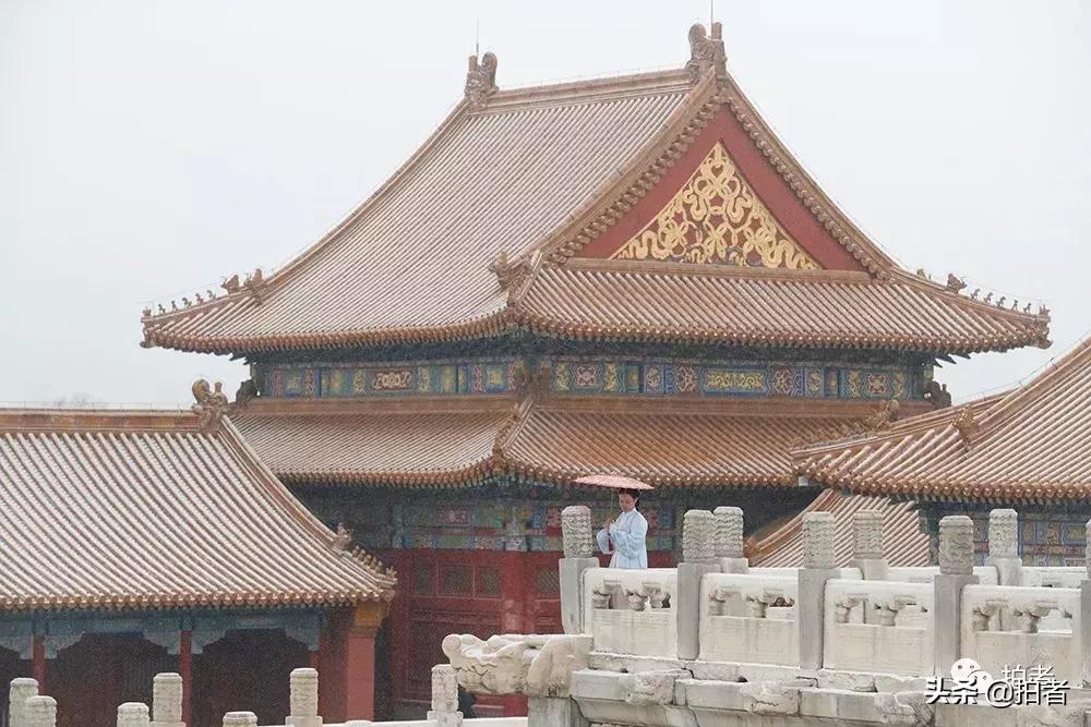 北京迎初雪9只熊猫,北京喜迎初雪去北京动物园看熊猫