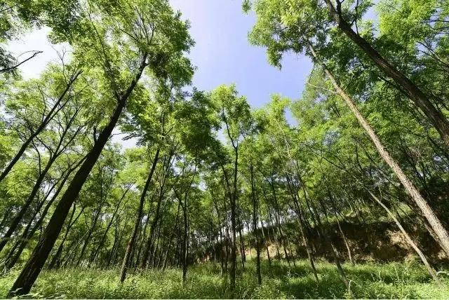 我在长武刚刚好,何必羡慕北上广