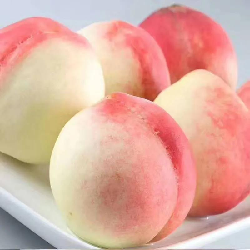 一年四季的时令蔬菜,一年四季的时令水果大全