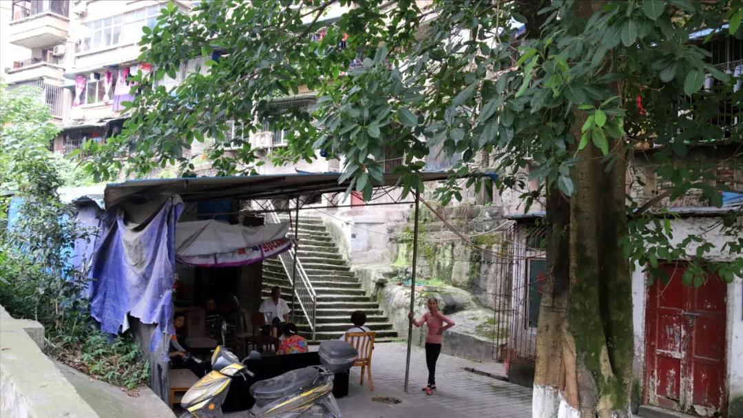 新发镇胜利村动迁最新消息,胜利庄最新拆迁消息