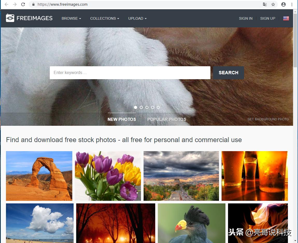 免费精美图片的网站,免费没版权的图片去哪找