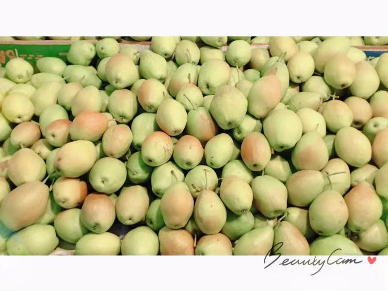 天津农产品博览会,天津农产品购物节在哪举办