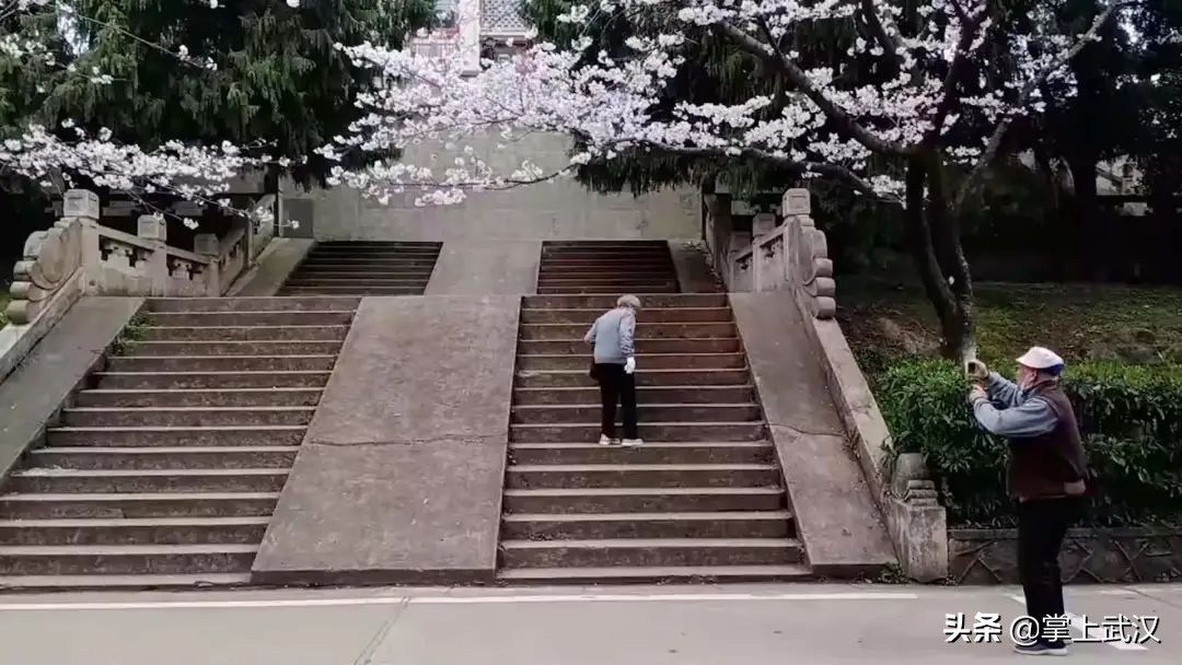 樱花感人瞬间,2020年武汉感动人瞬间