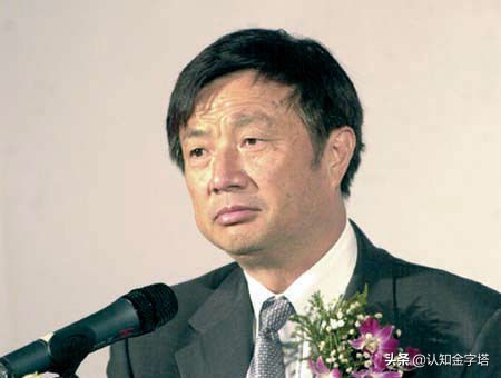 1970年任正非,任正非人物分析