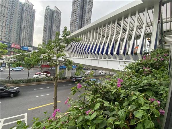 彩虹桥广东深圳,深圳市彩虹桥在哪里