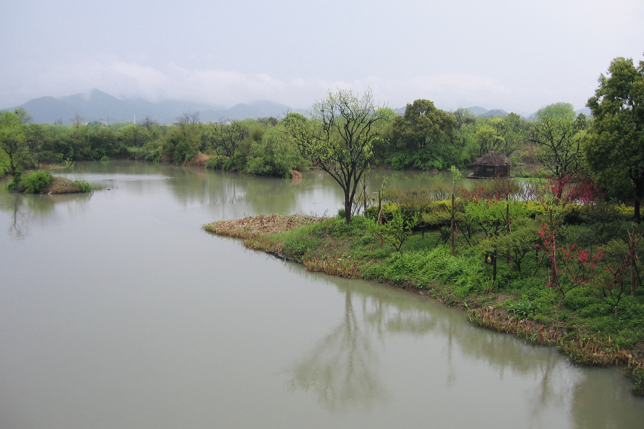 被誉为“杭州之肾”的西溪湿地值得去吗？网友：景色比西湖还美