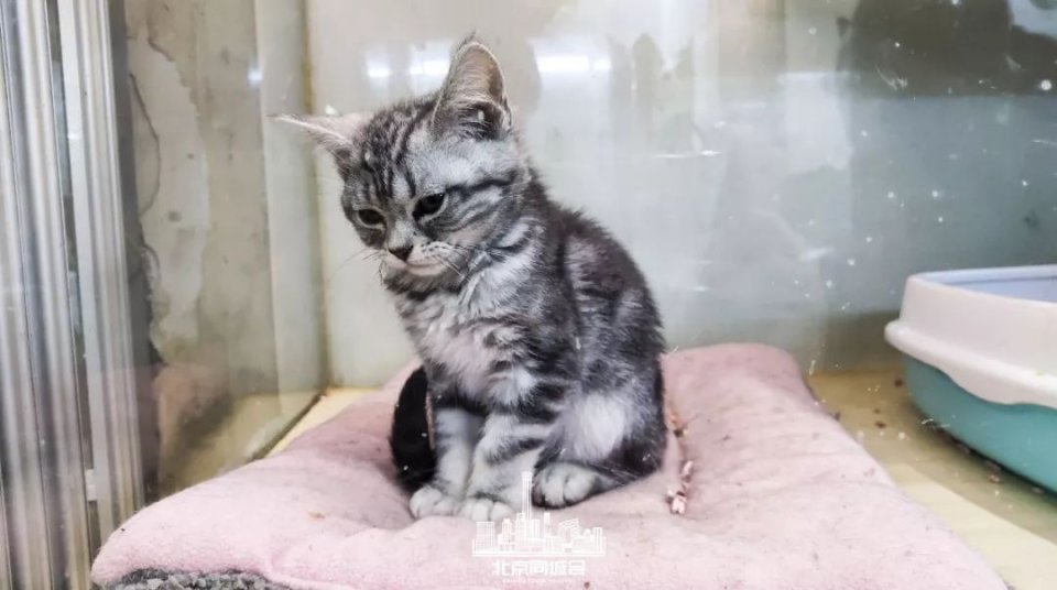 不去后悔去了更加后悔的景点,不去后悔去的景点