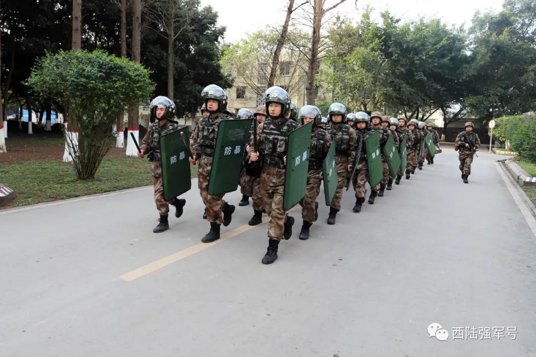 元旦假期狂欢,这个元旦假期是怎么过的