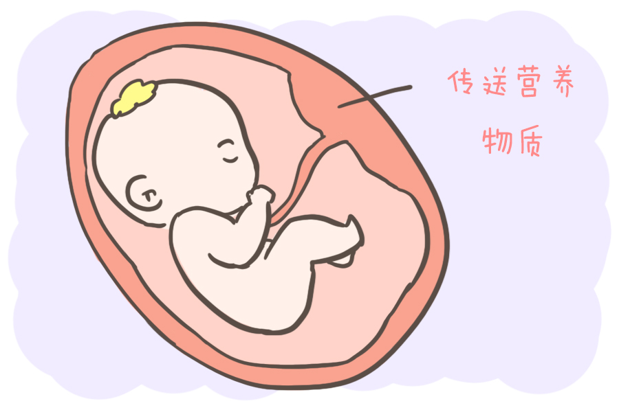 待产时，婆婆提出产后要产妇吃胎盘，却被回绝，胎盘真没那么神奇