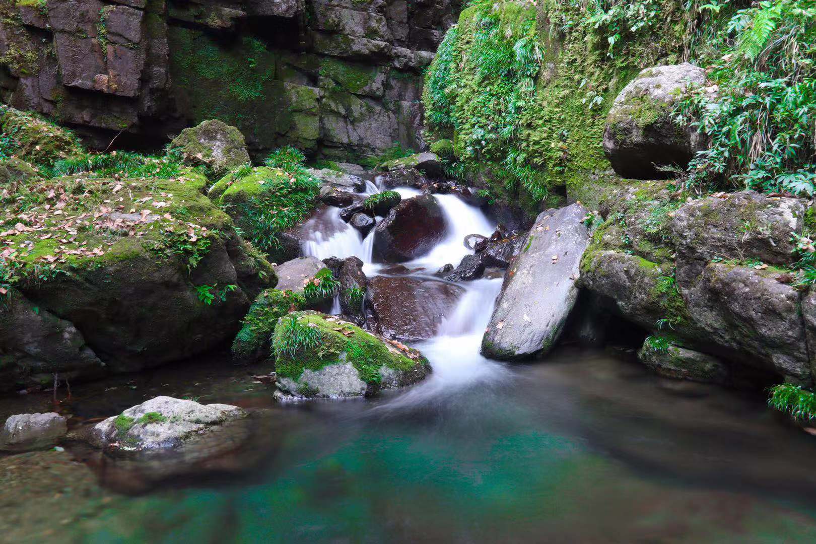 恩施坪坝营国家森林公园视频,咸丰坪坝营国家森林公园