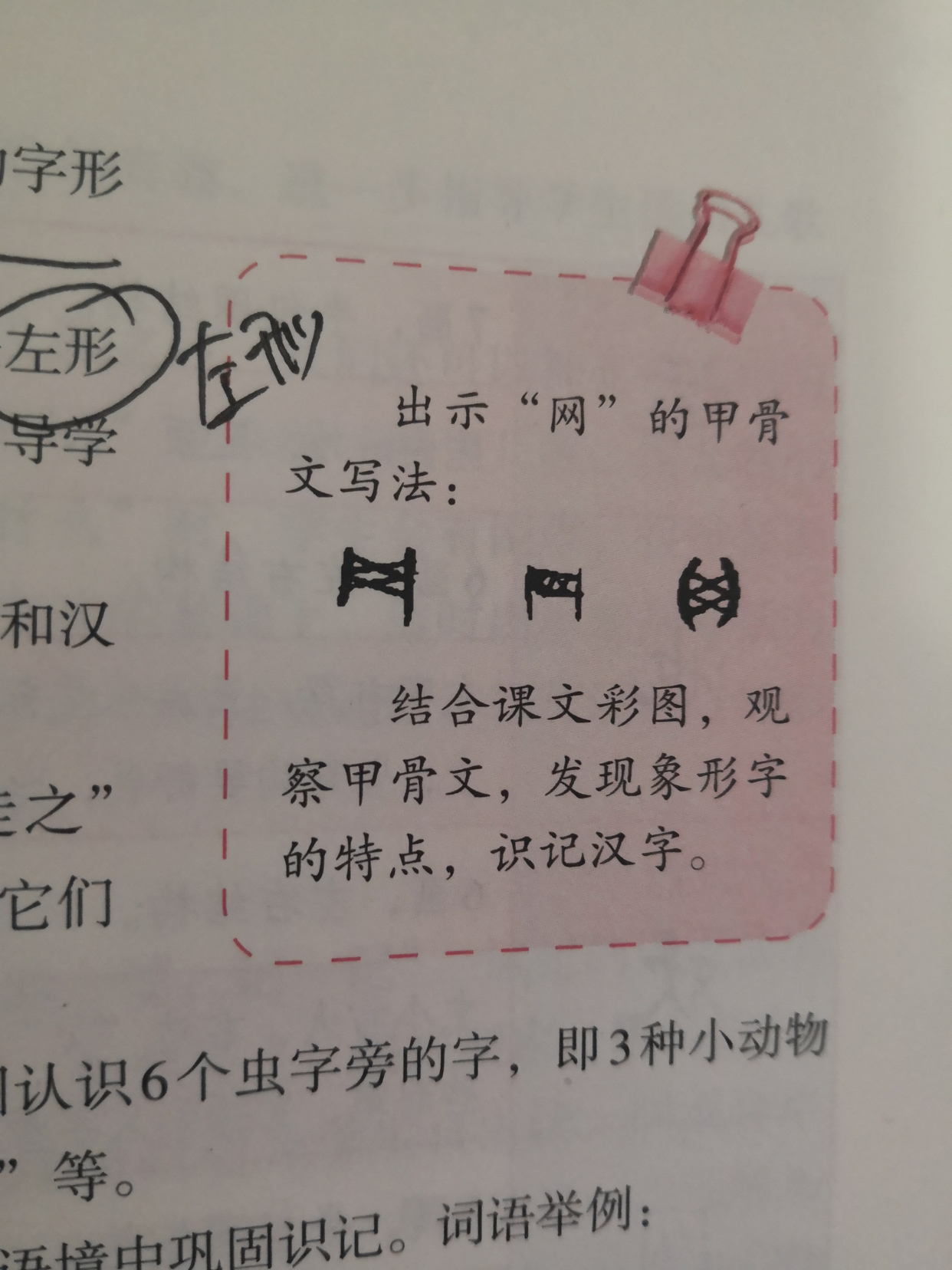 语文一年级下册动物儿歌课堂笔记,一年级下册第五课动物儿歌字词