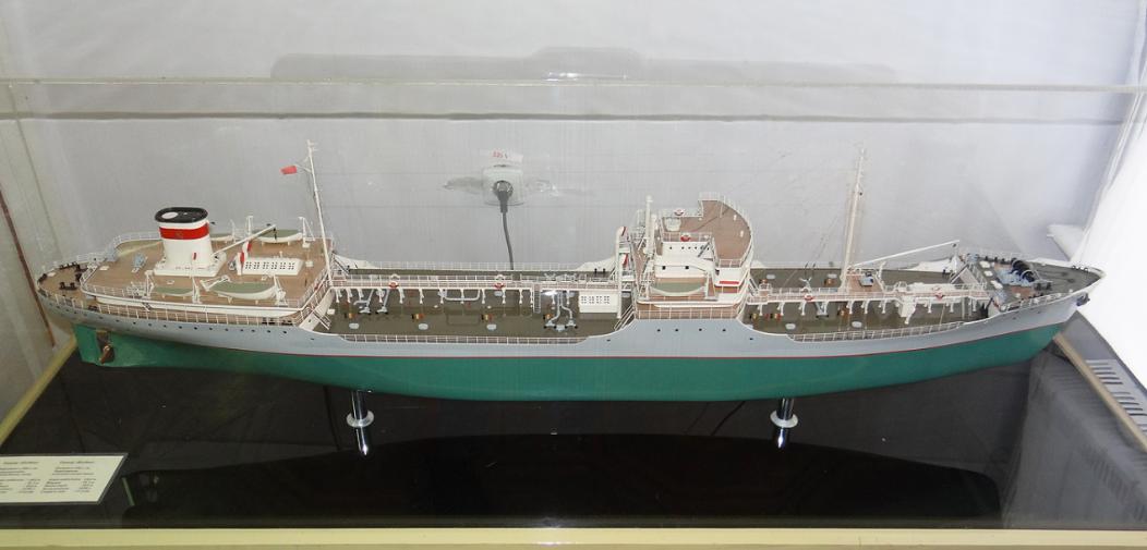 鐢熶笉閫㈡椂鏂淮灏斿痉娲涘か,鐢熶笉閫㈡椂鍚庣画