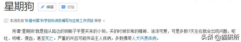 如何挑选一只健康的小猫咪,怎样快速得到小猫咪