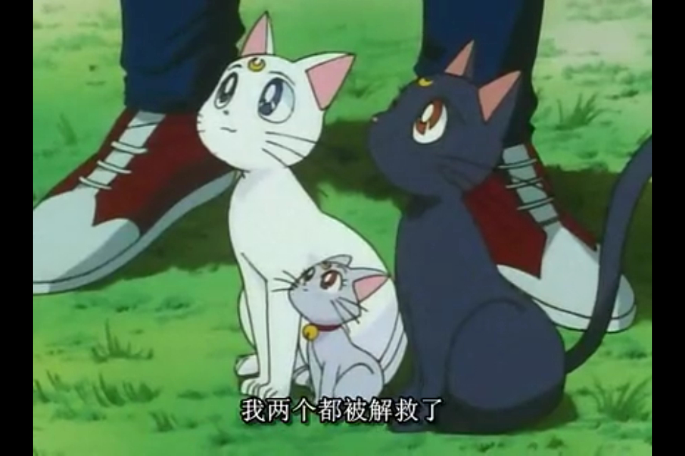 十大名猫动漫,动漫排行榜前十名京剧猫