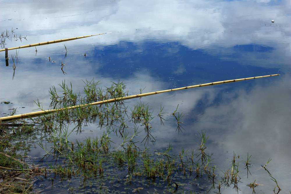 儿时的记忆老物件,80年代老物件渔具