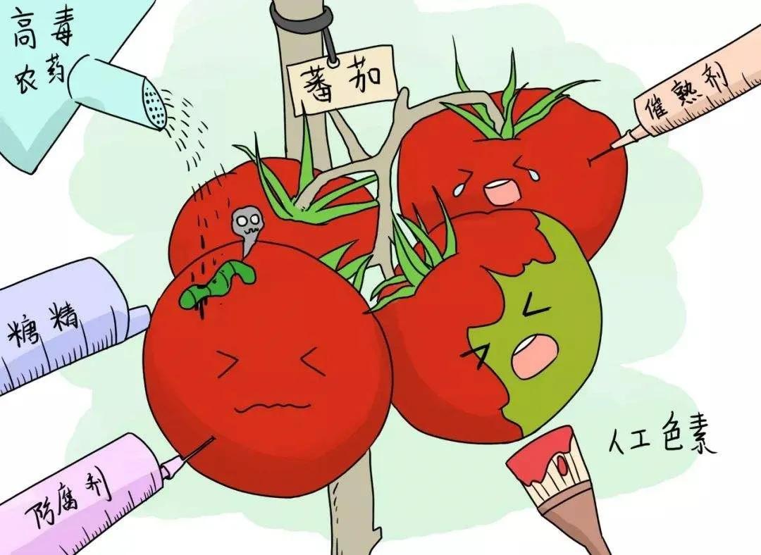 有机食品为何如此受欢迎,真正的有机食品在哪里