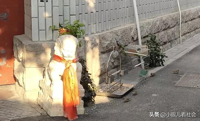 老北京胡同为什么不拆了建高楼,王府四合院腾退了吗